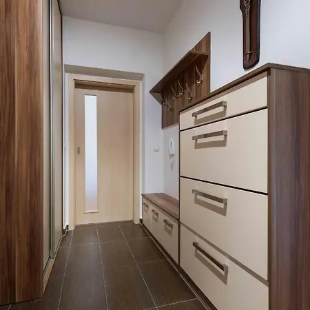 شقة Apartsee U Jeziska